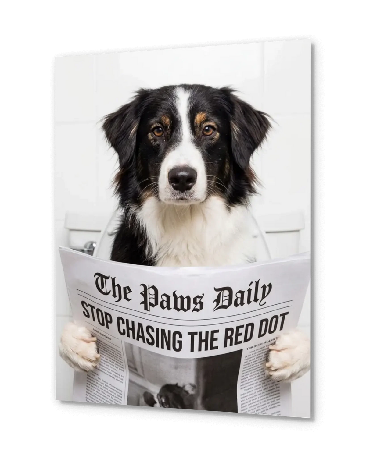 Personalized Poster - AI Pet Toilet Reading Portrait