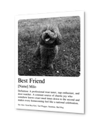 Personalized Poster - Memorial Pet Photo