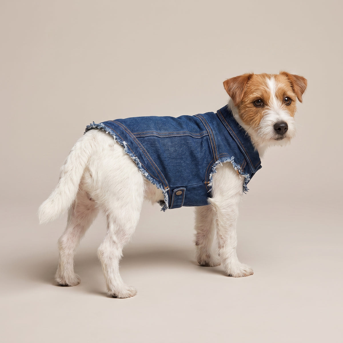 Custom Dog Denim Jacket with Print | Personalized Pet Apparel
