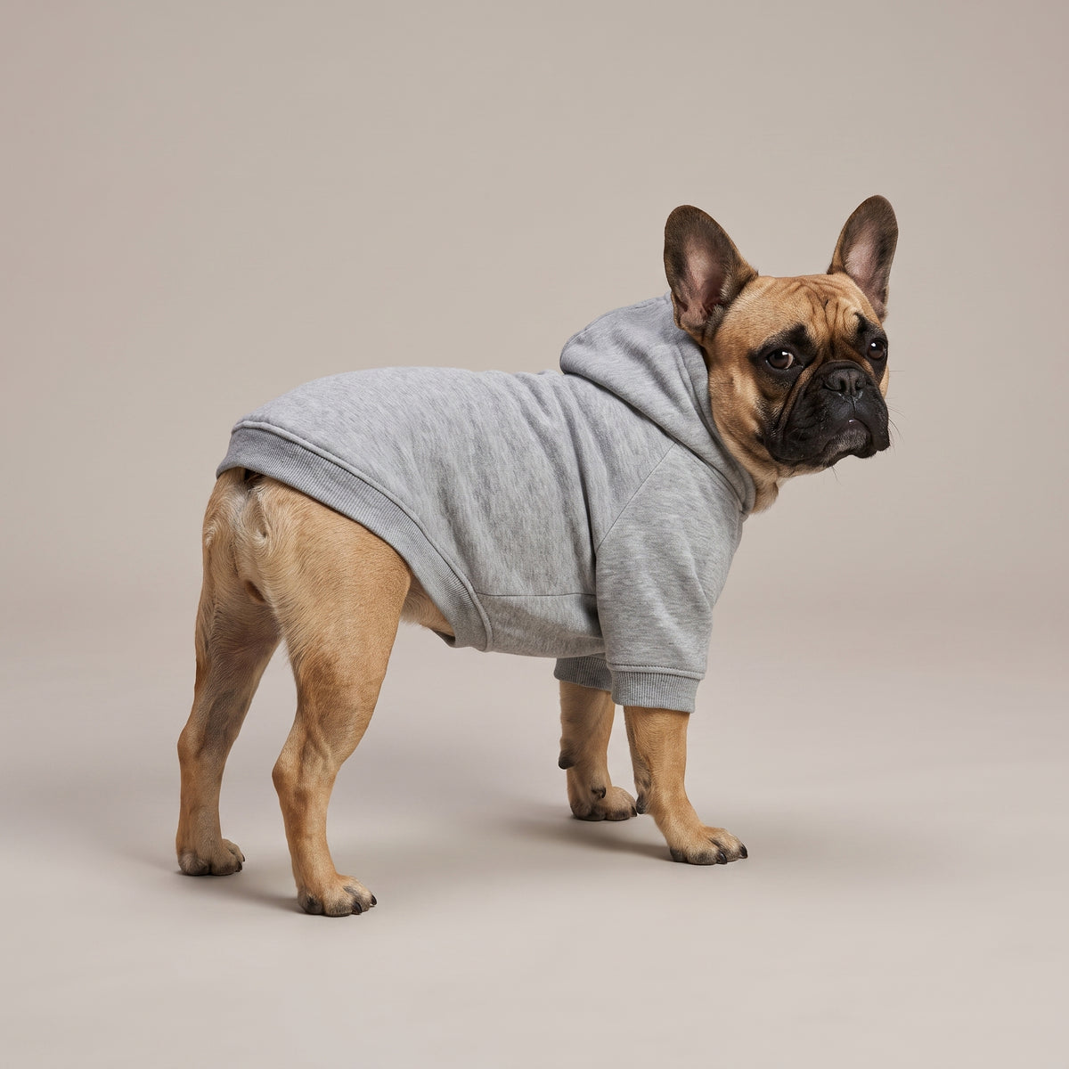 Custom Dog Hoodie with Print | Warm Fleece Sweatshirt for Dogs