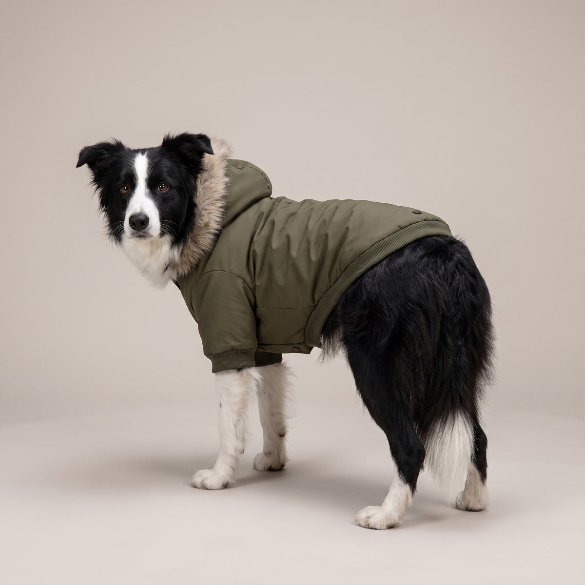Custom Dog Winter Parka with Print | Insulated Warm Coat for Dogs